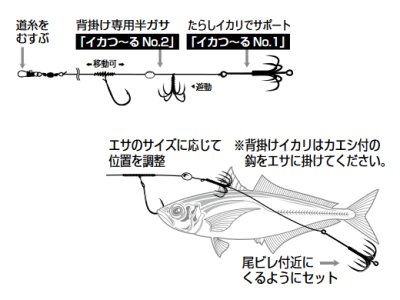 画像3: カツイチ(KATSUICHI)☆IKAクラ IS-21 イカ一番 ベーシックスタイル【メール便だと送料280円】