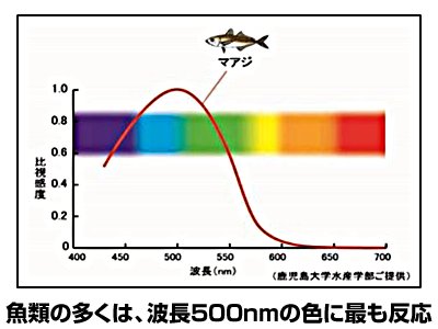 画像3: ハピソン(Hapyson)☆乾電池式高輝度LED水中集魚灯 YF-501【北・東北・沖 除き送料無料】