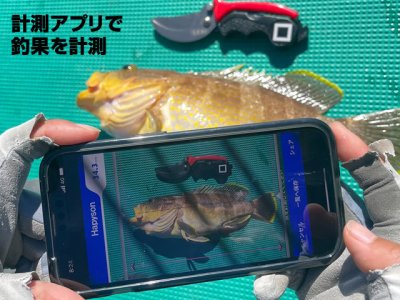 画像3: ハピソン(Hapyson)☆計測マルチハサミ ブルー YQ-880-B【メール便だと送料280円】