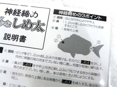 画像3: NTスイベル☆ピクピクさかなしめ太 (SAKANA SHIMETA) 100cm R-65【メール便だと送料280円】