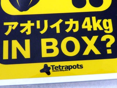 画像2: テトラポッツ(Tetrapots)☆IN BOX ステッカー アオリイカ【メール便だと送料280円】