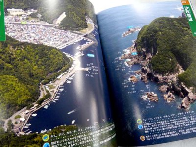 画像2: コスミック☆空撮 紀伊半島 釣り場ガイド4（紀東 伊勢）【メール便だと送料280円】