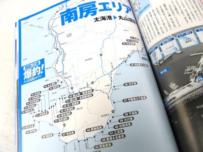 画像1: コスミック☆爆釣！人気堤防ガイド 房総・三浦【メール便だと送料280円】