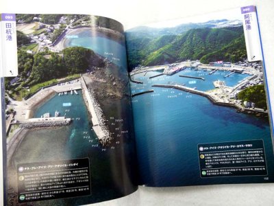 画像3: コスミック☆空撮15　紀伊半島 釣り場ガイド(和歌山・由良・田辺)【メール便だと送料280円】