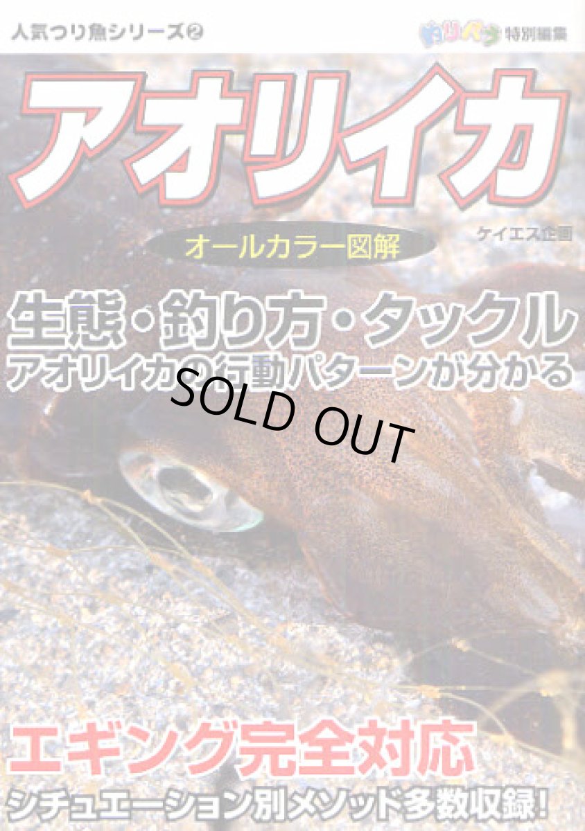 画像1: 主婦の友社☆人気つり魚シリーズ2 釣りパラ特別編集 アオリイカ【メール便だと送料280円】 (1)