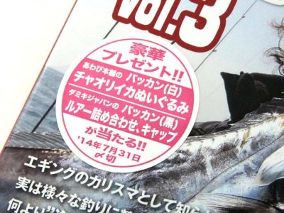 画像3: 内外出版☆DVD 重見典宏・エギンガーのための釣り講座 Vol.3【メール便だと送料280円】