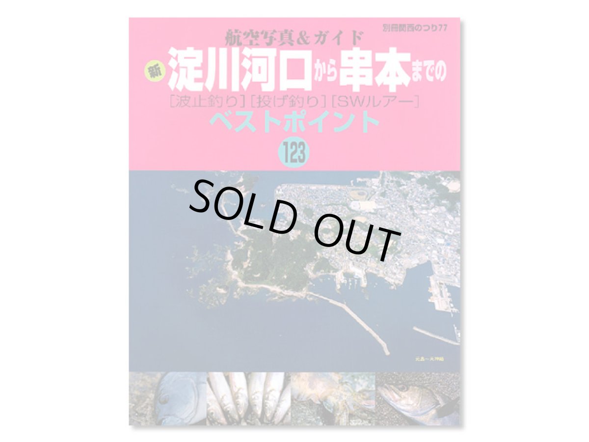 画像1: 岳洋社☆航空写真＆ガイド 新 淀川河口から串本までの〔波止釣り〕〔投げ釣り〕〔SWルアー〕 ベストポイント123【メール便だと送料280円】 (1)