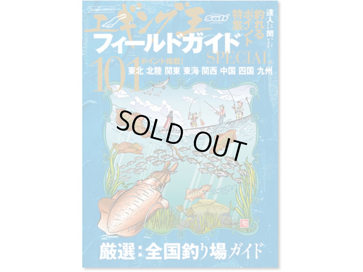 画像1: 内外出版社☆ルアーマガジンソルト 別冊 エギング王 フィールドガイド【メール便だと送料280円】 (1)