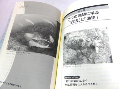 画像1: 成山堂書店☆アオリイカの秘密にせまる―研究期間25年、観察した数3万杯―【メール便だと送料280円】