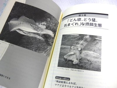 画像2: 成山堂書店☆アオリイカの秘密にせまる―研究期間25年、観察した数3万杯―【メール便だと送料280円】