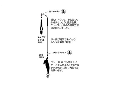 画像1: 海太郎（issei）☆ヌケガケオモリグ仕掛 80-3.5【メール便だと送料280円】